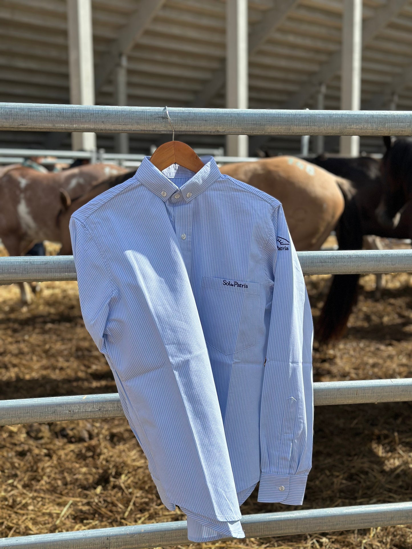 Camisa Oxford Hombre Celeste c/ lineas blancas