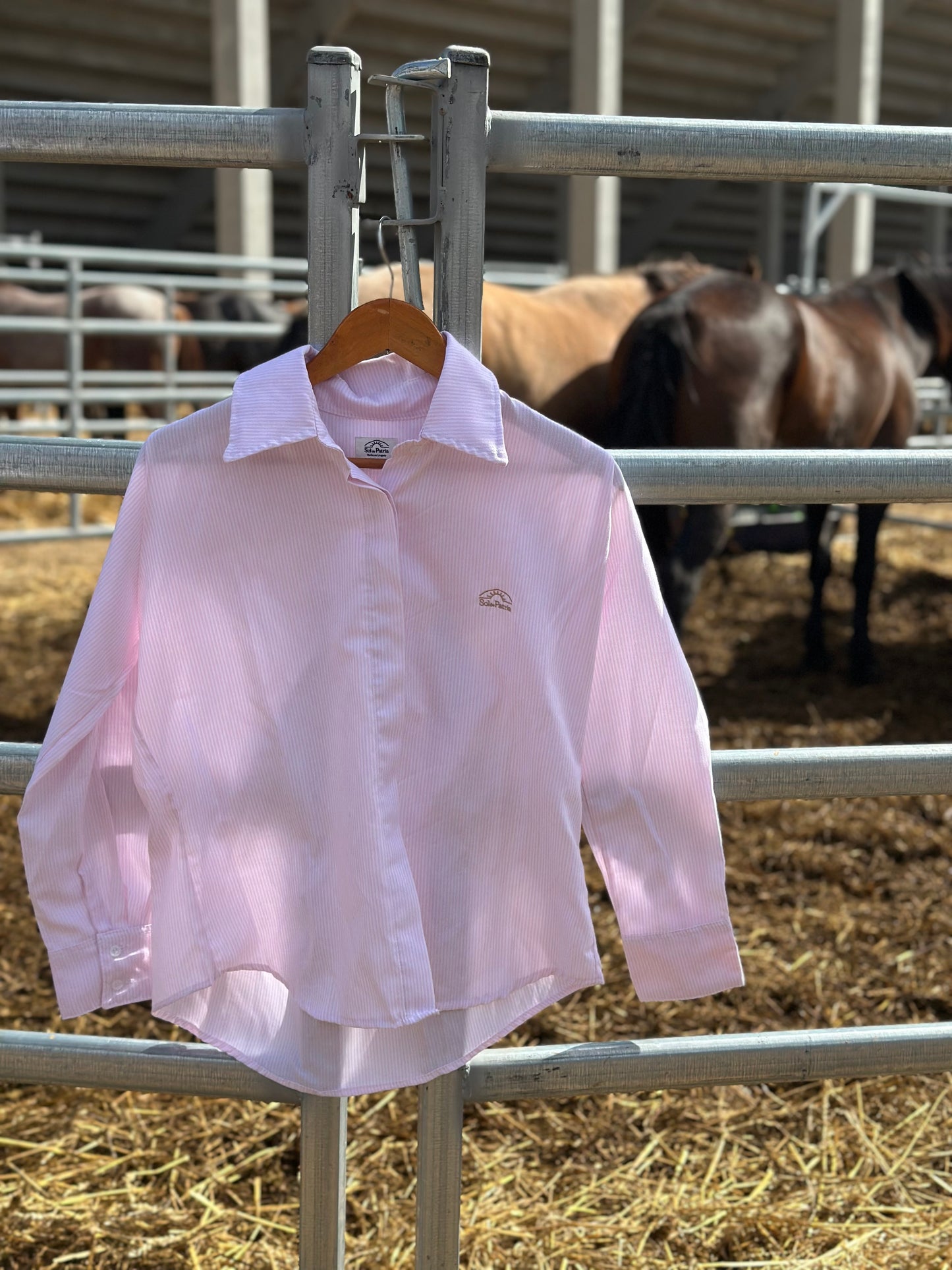 Camisa Dama Oxford Rosada c/ Rayas Blancas