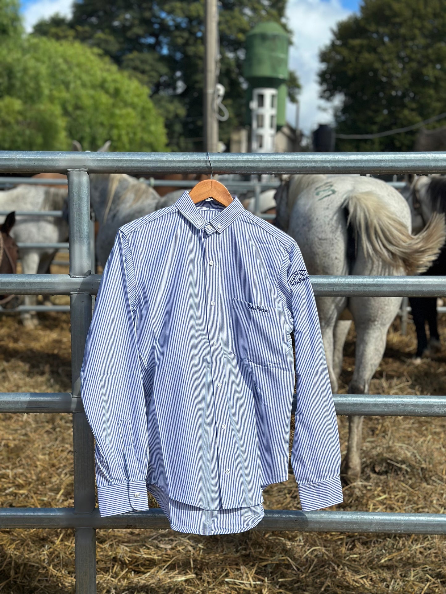 Camisas Hombre Oxford Rayas Azules