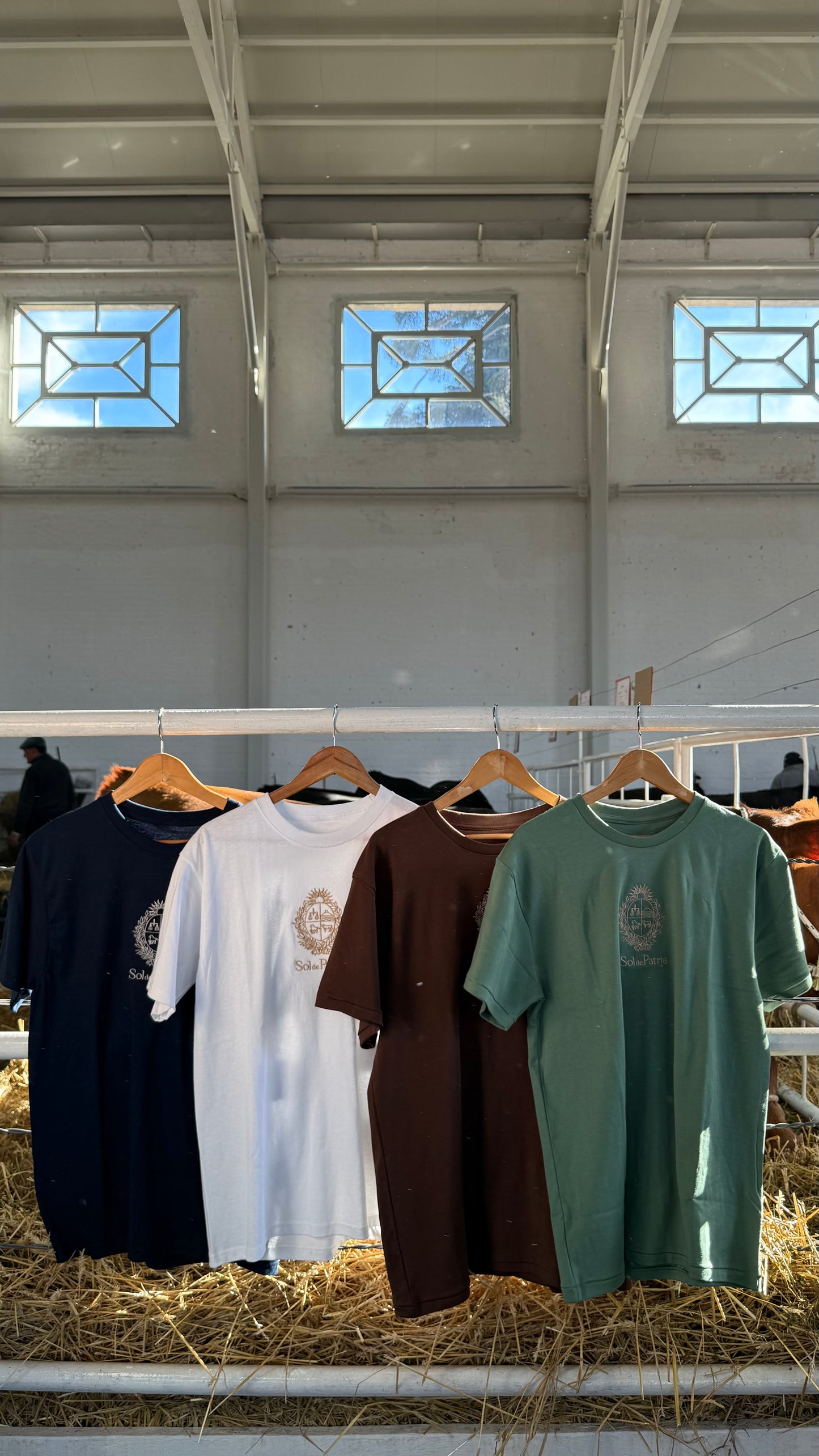 Remeras Escudo