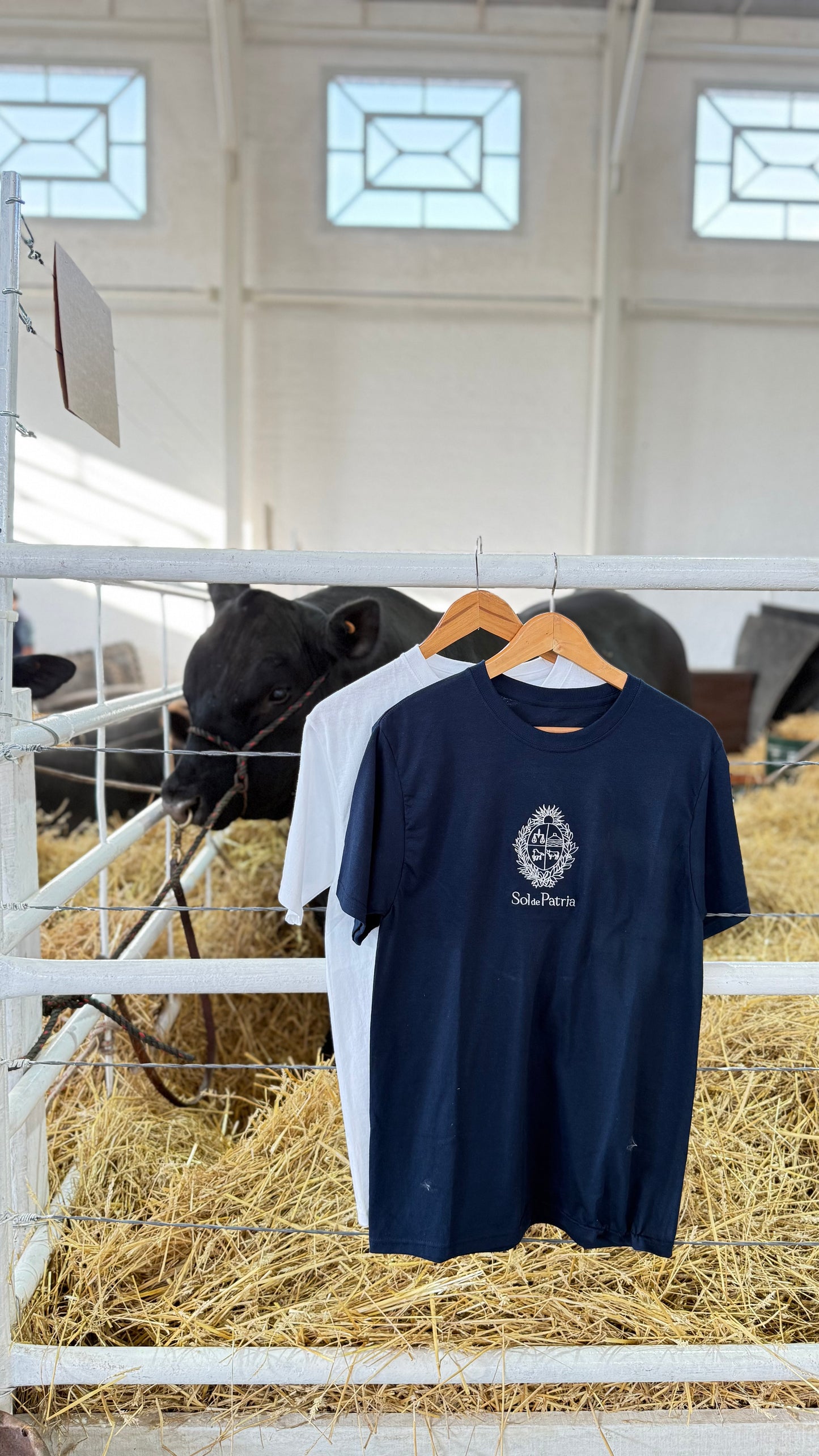 Remeras Escudo