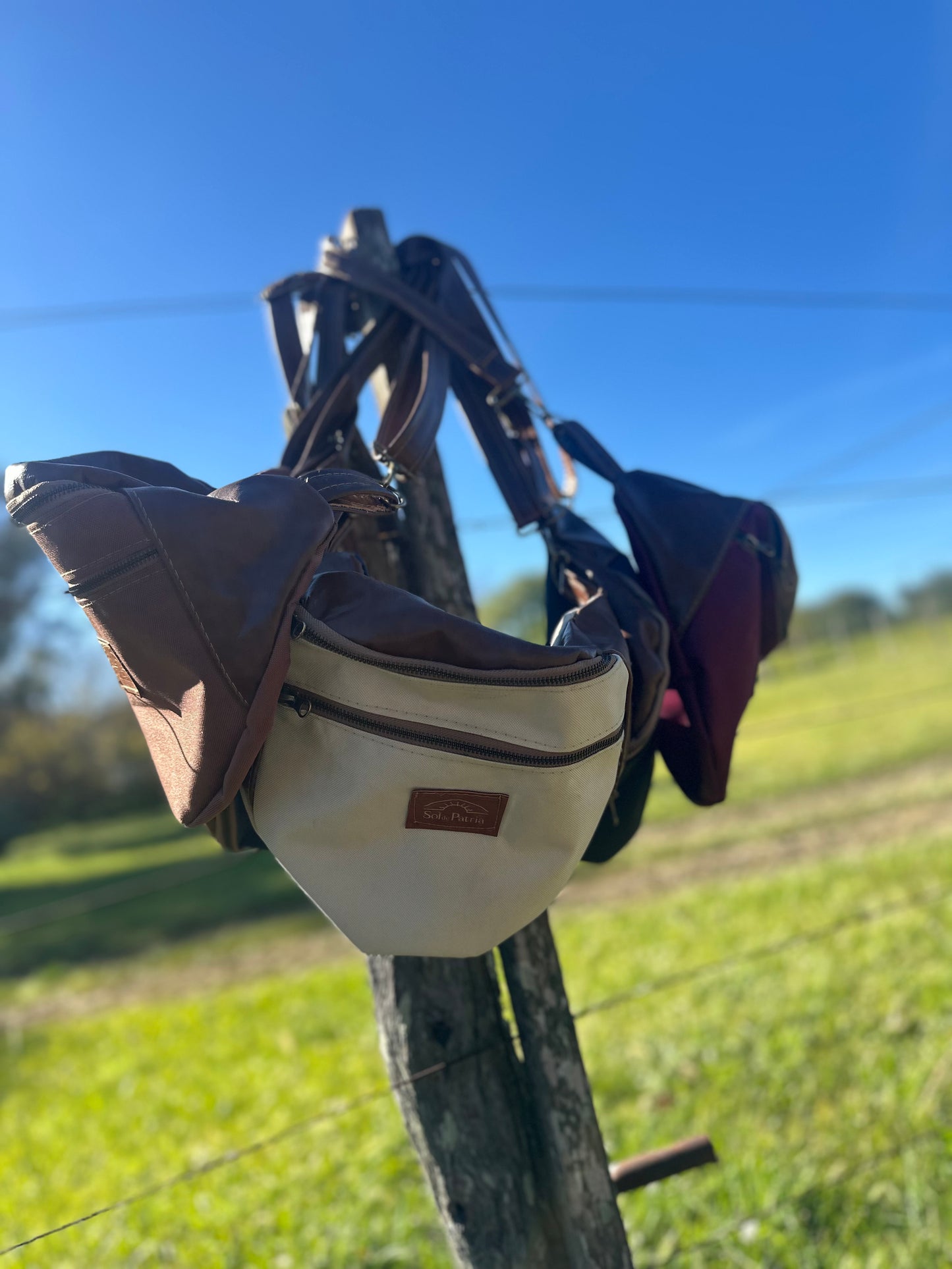Riñonera | Cartera