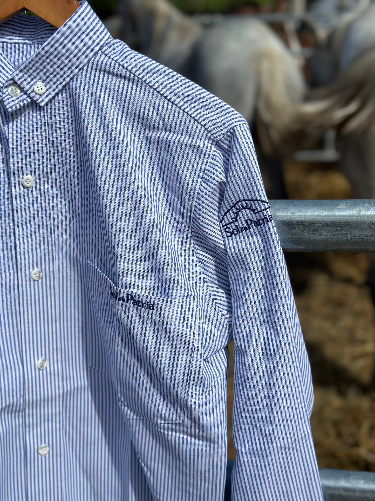 Camisas Hombre Oxford Rayas Azules