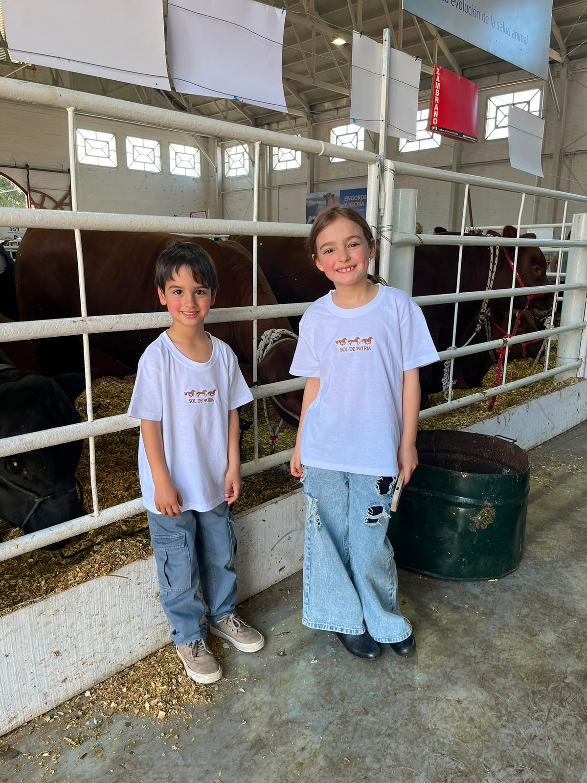Remera Caballito de niño 🐴🤎