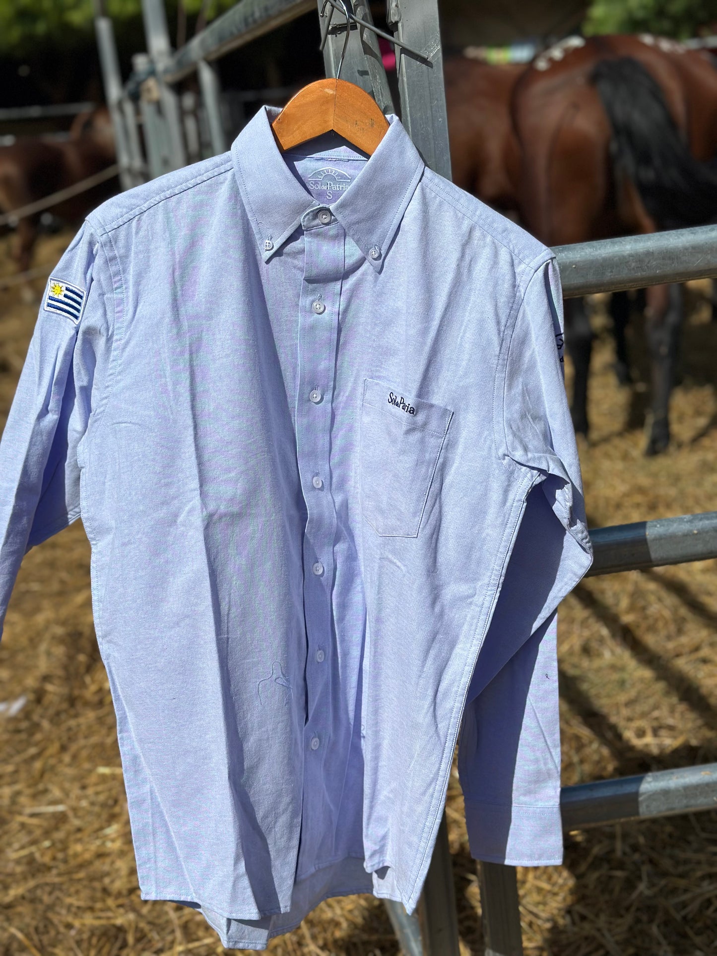 Camisas Hombre Oxford Celeste
